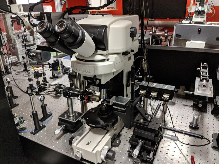 Lightsheet microscope
